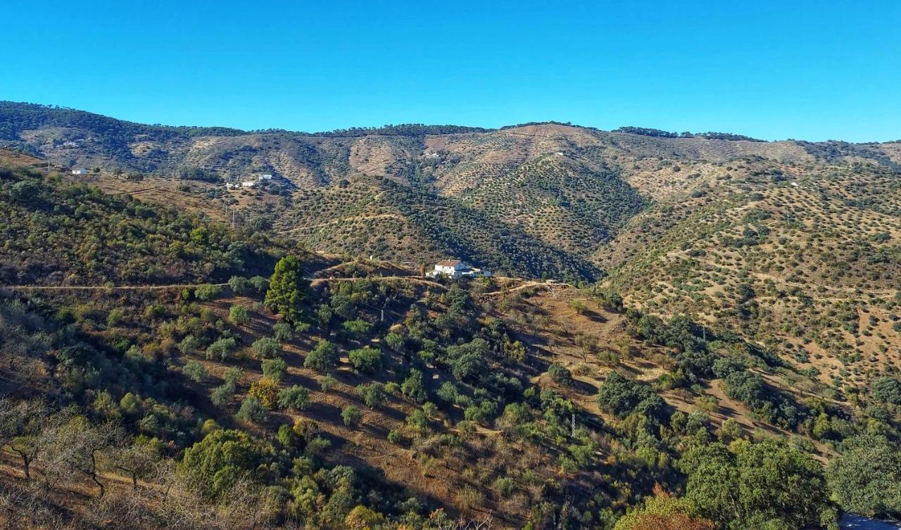 Finca Serrato Кольменар Екстер'єр фото