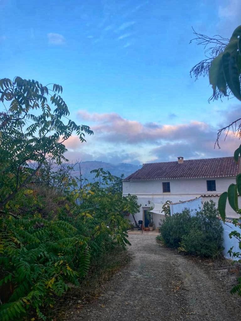 Finca Serrato Кольменар Екстер'єр фото